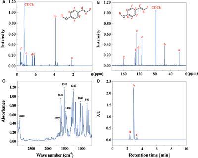 Multistage Extraction of Star Anise and Black Pepper Derivatives for Antibacterial, Antioxidant, and Anticancer Activity